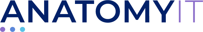 Anatony IT logo